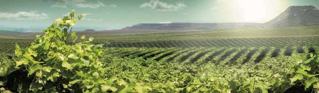 consultores-enoturismo