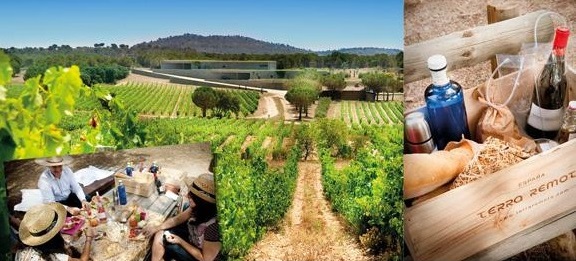 picnic-enoturismo-terraremota2