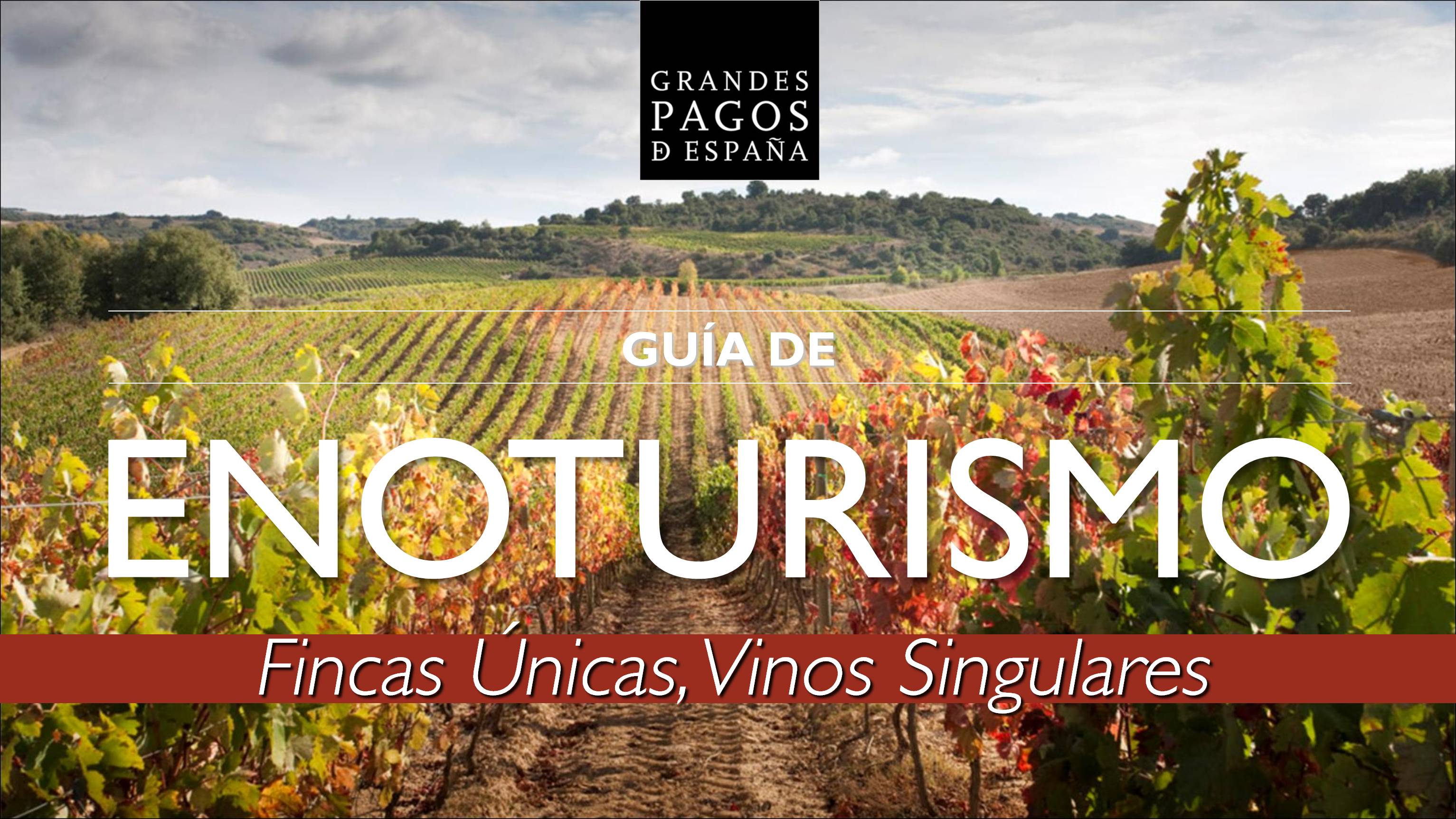 Guía de Enoturismo Grandes Pagos de España, elaborada por DINAMIZA