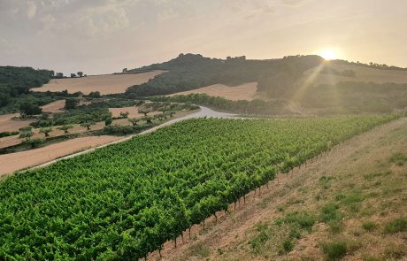 01-enoturismo Enoturismo