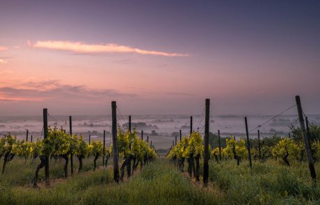 sl-12 Dinamiza Asesores