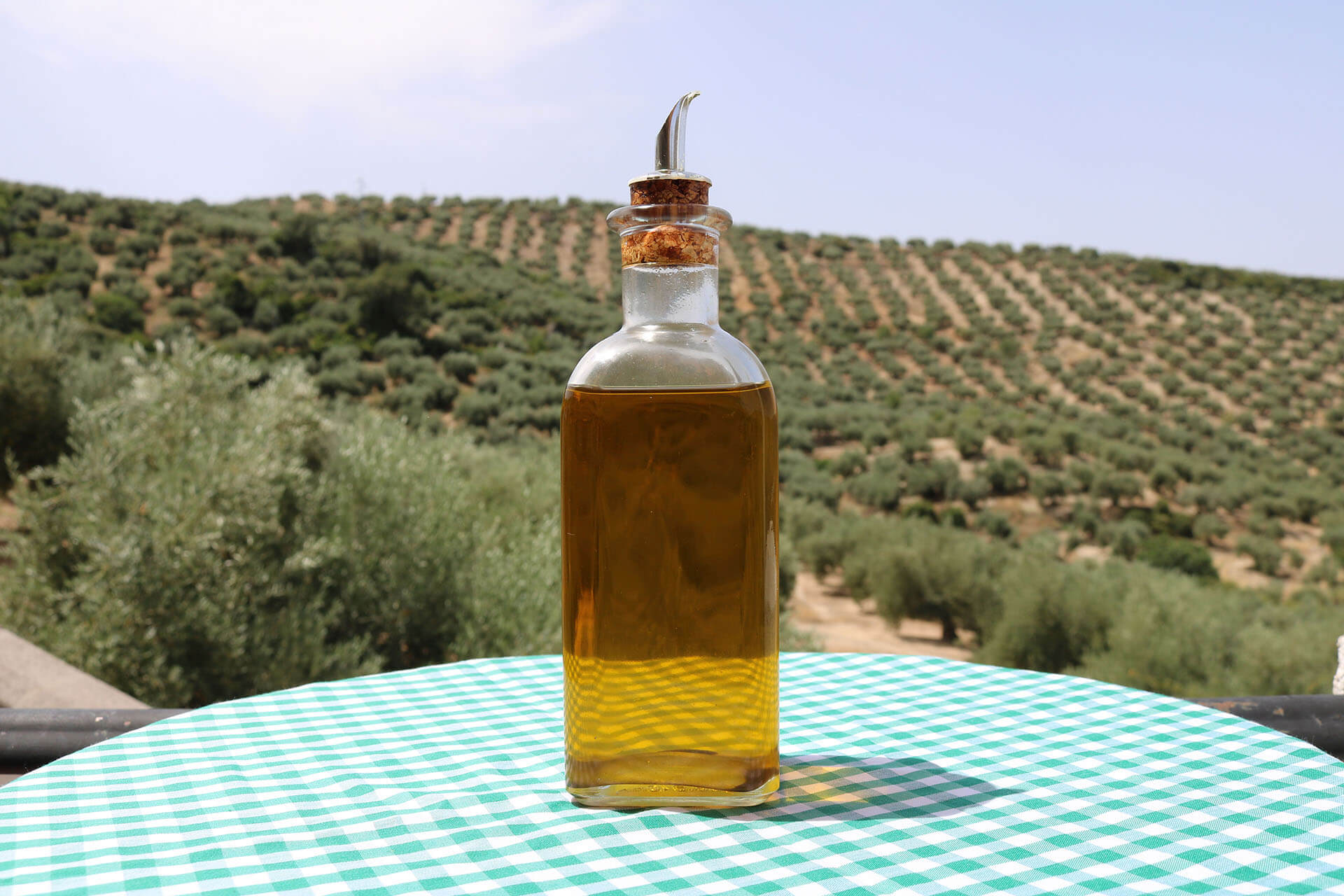 oleoturismo_montoro-1